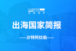 JDPAY钱包官网GO GLOBAL | 沙特阿拉伯国家简报